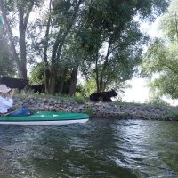 2019 - Brandenburg und die Havel
